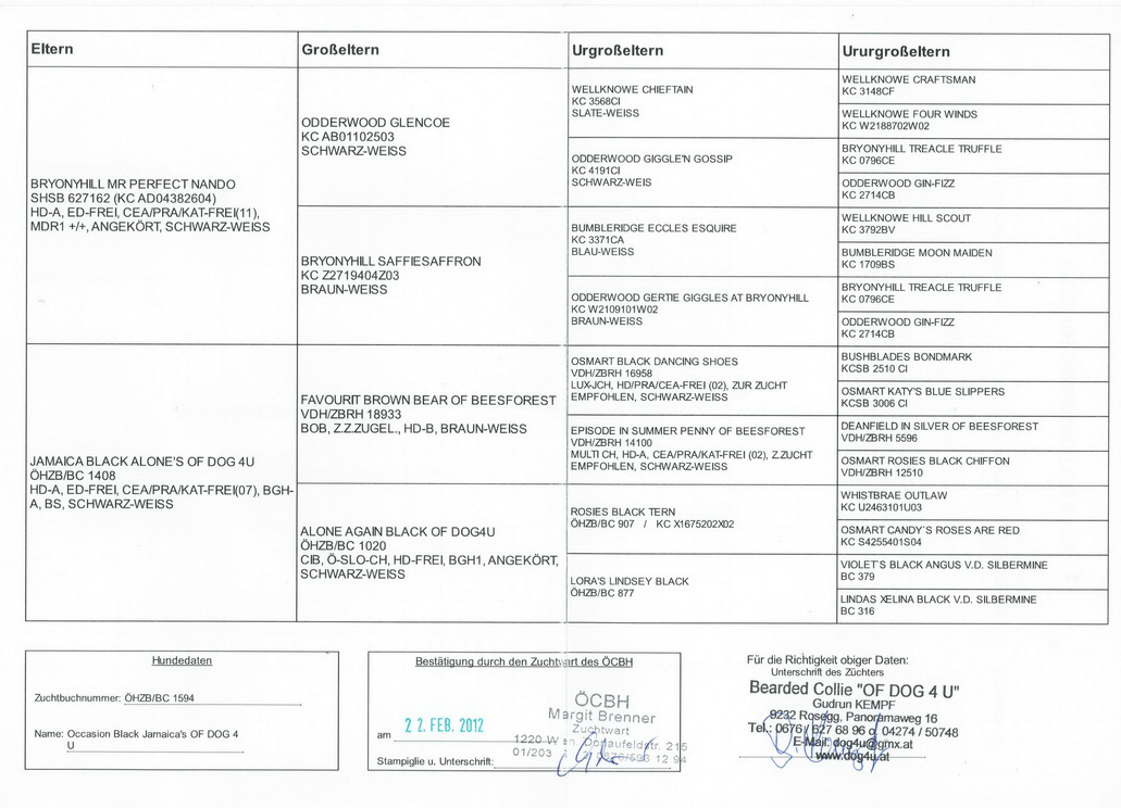 HP Ahnentafel Occasion1