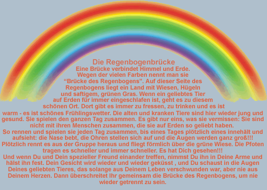 regenbogen-hund 197