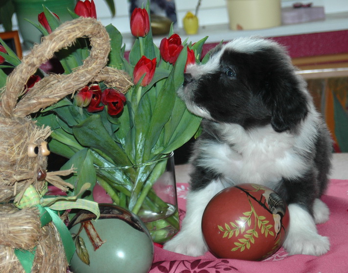 ostern 2011